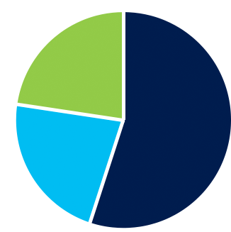 56% Domestic Equity Vanguard Total Stock Market Index (VSMPX) 24% Fixed Income Vanguard International Stock Index (VTIAX) 20% International Equity Vanguard Total Bond Market Index (VBMPX)
