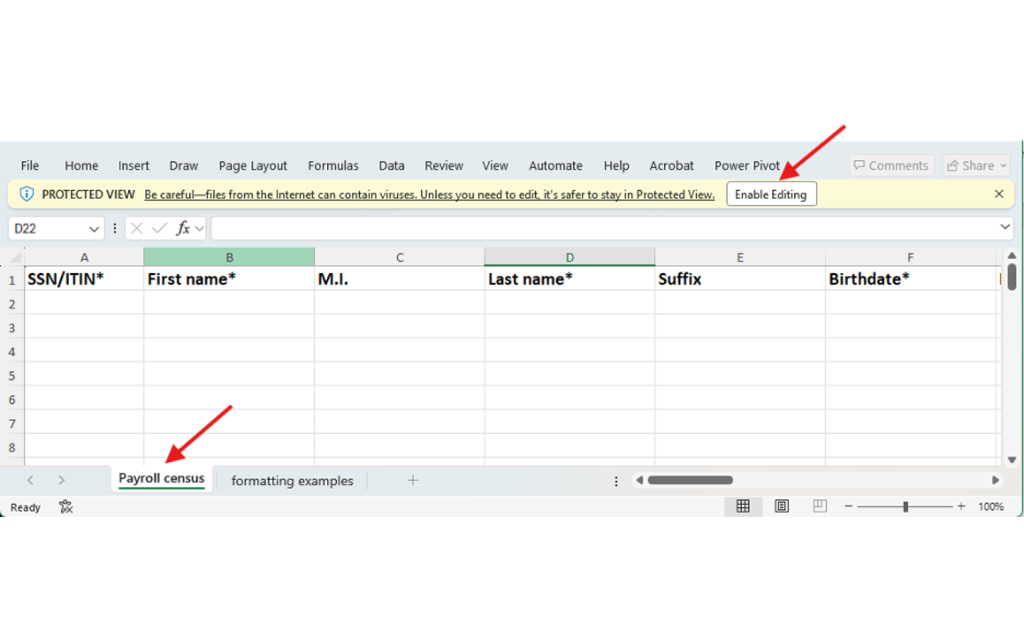Enter employee information in the payroll census file