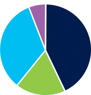 Pie chart breaking down Moderate investment option - 42% Domestic Equity Vanguard Total Stock Market Index (VSMPX) 18% Fixed Income Vanguard International Stock Index (VTIAX) 35% International Equity 30% Vanguard Total Bond Market Index (VBMPX)  5% Vanguard Short-Term Bond Index (VBIPX) 5% Cash Equivalents Vanguard Federal Money Market VMFXX)