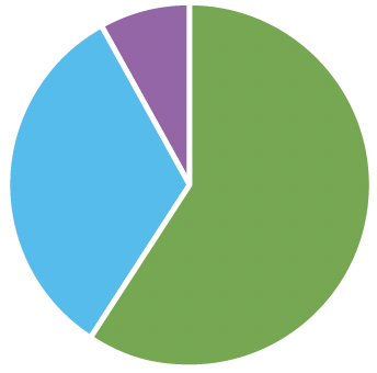 Pie chart visually showing percantages of the Growth option. 75% Domestic Equity Vanguard Total Stock Market Index 															(VSMPX), 24% Fixed Income Vanguard International Stock Index (VTIAX) and 20% International Equity Vanguard Total Bond Market Index (VBMPX)