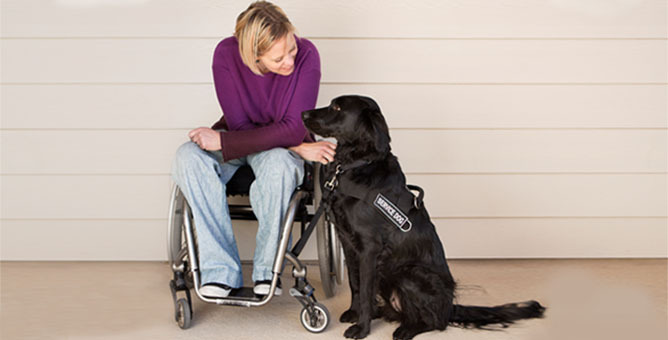 A woman in a wheelchair accompanied by her service dog.